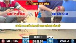 TRẬN 1 CPC2 NGÀY 29/4/2026