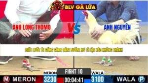 TRẬN 10 CPC2 NGÀY 28/4/2026