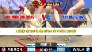TRẬN 10 CPC2 NGÀY 29/4/2026
