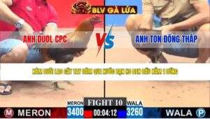 TRẬN 10 CPC3 NGÀY 27/4/2026
