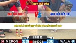TRẬN 12 CPC2 NGÀY 29/4/2026