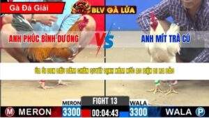 TRẬN 13 CPC2 NGÀY 25/4/2026