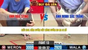 TRẬN 13 CPC2 NGÀY 29/4/2026