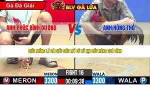 TRẬN 16 CPC2 NGÀY 25/4/2026