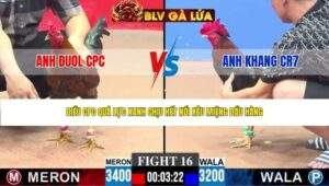 TRẬN 16 CPC3 NGÀY 27/4/2026