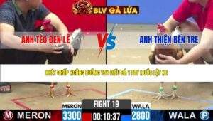 TRẬN 19 CPC2 NGÀY 29/4/2026