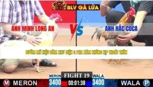 TRẬN 19 CPC3 NGÀY 27/4/2026