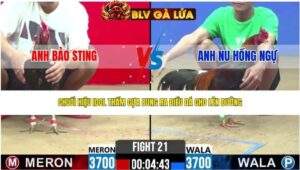 TRẬN 21 CPC2 NGÀY 25/4/2026