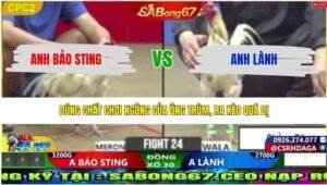 TRẬN 14 CPC2 NGÀY 29/4/2026