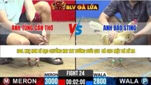 TRẬN 24 CPC2 NGÀY 25/4/2026