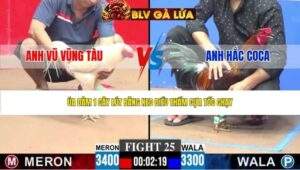 TRẬN 25 CPC3 NGÀY 27/4/2026