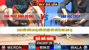 TRẬN 29 CPC3 NGÀY 27/4/2026