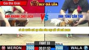 TRẬN 33 CPC2 NGÀY 25/4/2026