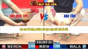 TRẬN 33 CPC3 NGÀY 27/4/2026