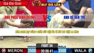 TRẬN 34 CPC2 NGÀY 25/4/2026