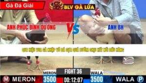 TRẬN 36 CPC2 NGÀY 25/4/2026