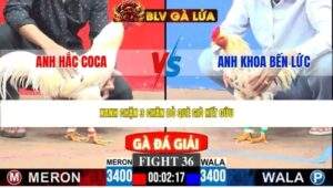 TRẬN 36 CPC3 NGÀY 27/4/2026