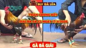 TRẬN 44 CPC3 NGÀY 27/4/2026
