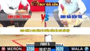 TRẬN 5 CPC2 NGÀY 28/4/2026