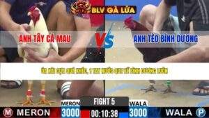 TRẬN 5 CPC2 NGÀY 30/4/2026