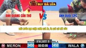 TRẬN 5 CPC3 NGÀY 27/4/2026
