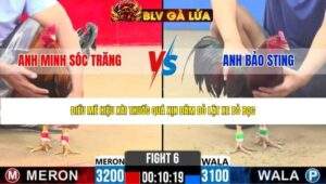 TRẬN 6 CPC2 NGÀY 29/4/2026