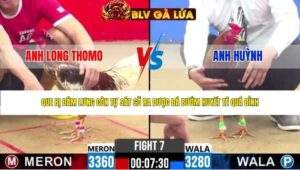 TRẬN 7 CPC2 NGÀY 28/4/2026