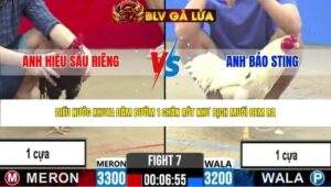 TRẬN 7 CPC2 NGÀY 29/4/2026