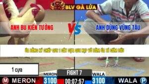 TRẬN 7 CPC2 NGÀY 30/4/2026