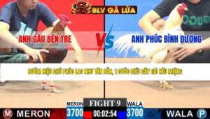 TRẬN 9 CPC3 NGÀY 27/4/2026