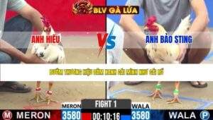 TRẬN 1 CPC2 NGÀY 1/5/2026