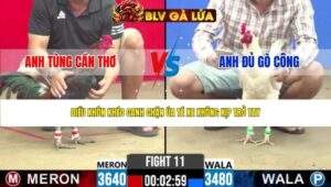 TRẬN 11 CPC2 NGÀY 5/5/2026