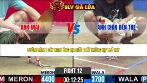 TRẬN 12 CPC2 NGÀY 2/5/2026