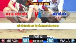 TRẬN 12 CPC2 NGÀY 5/5/2026