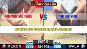 TRẬN 12 CPC2 NGÀY 6/5/2026