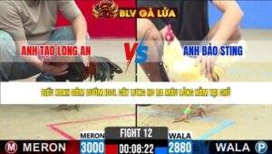 TRẬN 12 CPC2 NGÀY 8/5/2026