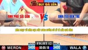 TRẬN 12 CPC3 NGÀY 7/5/2026