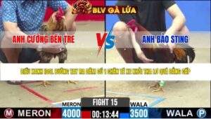 TRẬN 15 CPC2 NGÀY 8/5/2026