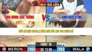 TRẬN 16 CPC2 NGÀY 6/5/2026