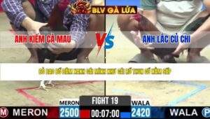 TRẬN 19 CPC2 NGÀY 2/5/2026