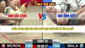 TRẬN 19 CPC2 NGÀY 8/5/2026