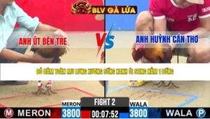 TRẬN 2 CPC2 NGÀY 5/5/2026