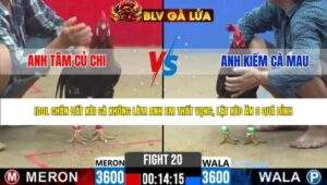 TRẬN 20 CPC2 NGÀY 4/5/2026