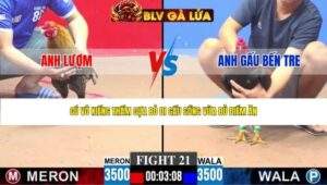 TRẬN 21 CPC3 NGÀY 3/5/2026