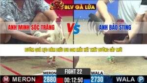 TRẬN 22 CPC2 NGÀY 6/5/2026