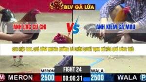 TRẬN 24 CPC2 NGÀY 2/5/2026