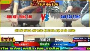 TRẬN 25 CPC2 NGÀY 6/5/2026