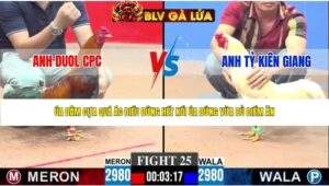 TRẬN 25 CPC3 NGÀY 4/5/2026
