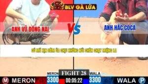 TRẬN 28 CPC3 NGÀY 4/5/2026