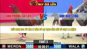 TRẬN 3 CPC2 NGÀY 1/5/2026